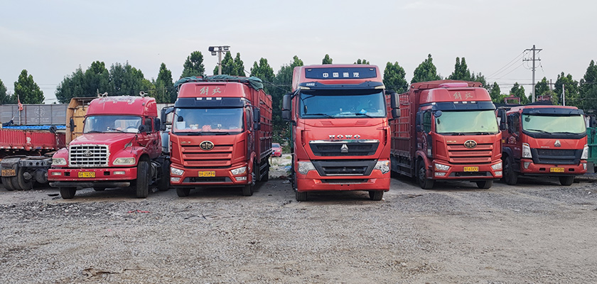 长途妖精视频网站入口